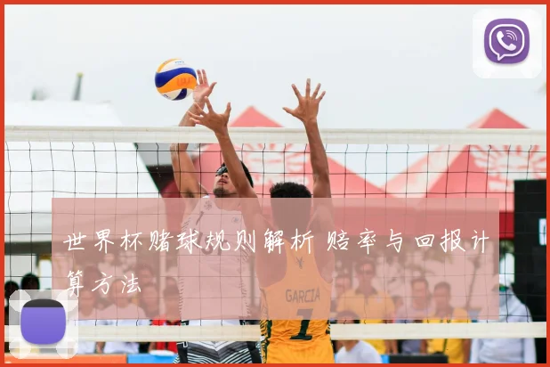 世界杯赌球规则解析 赔率与回报计算方法