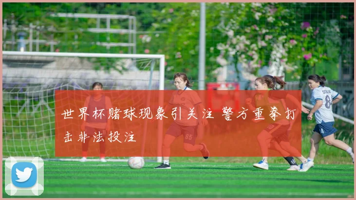 世界杯赌球现象引关注 警方重拳打击非法投注