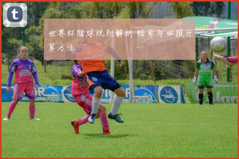 世界杯赌球规则解析 赔率与回报计算方法