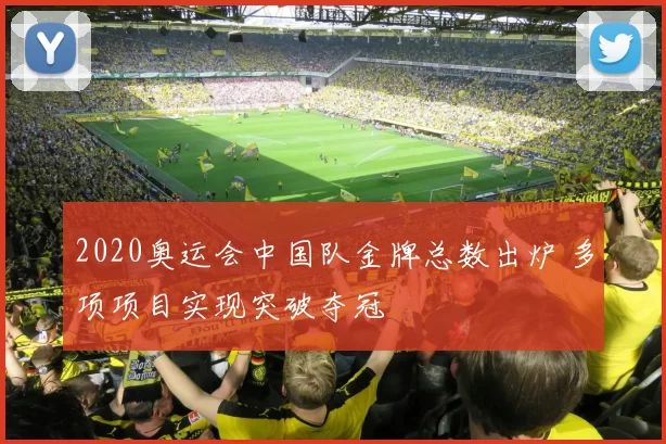 2020奥运会中国队金牌总数出炉 多项项目实现突破夺冠
