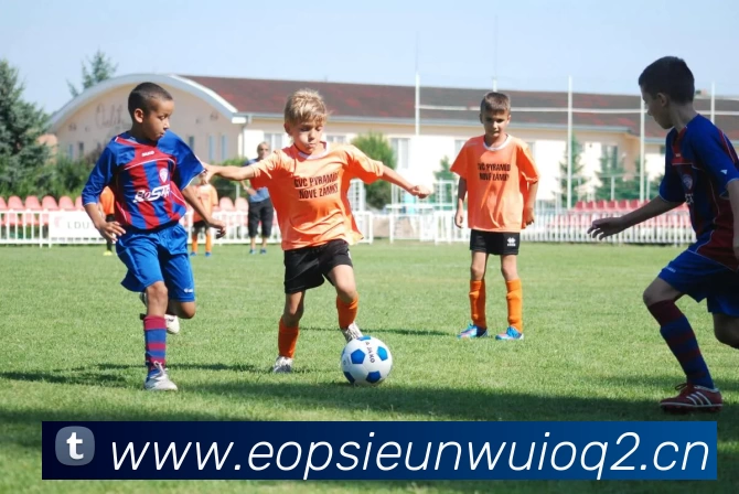 压球首页服务体系